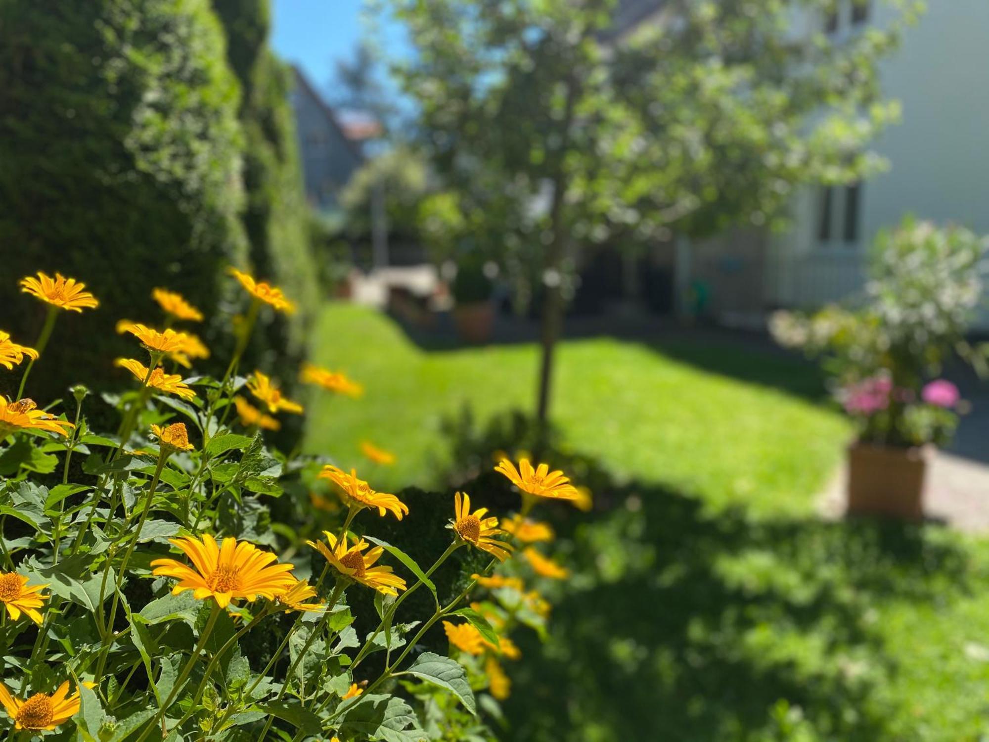 Hotel Villa Solln Monachium Zewnętrze zdjęcie